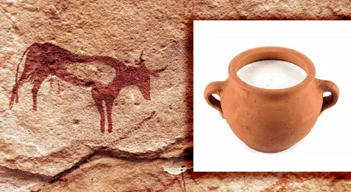 Ancient rock painting of an animal shown beside a clay cup of milk.